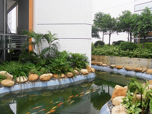 廣東歐派集團(tuán)——廠區(qū)內(nèi)環(huán)繞會(huì)所的魚池水景
